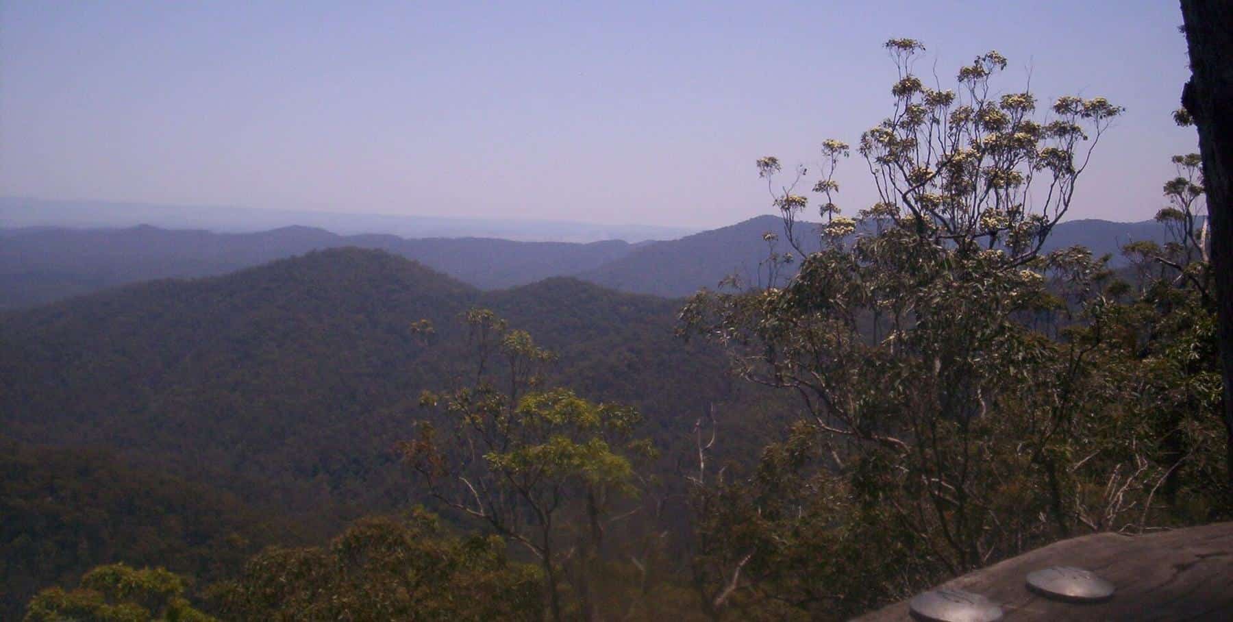 Layered blue ridges of the D'Aguilar Range stretching to the horizon under a pale sky