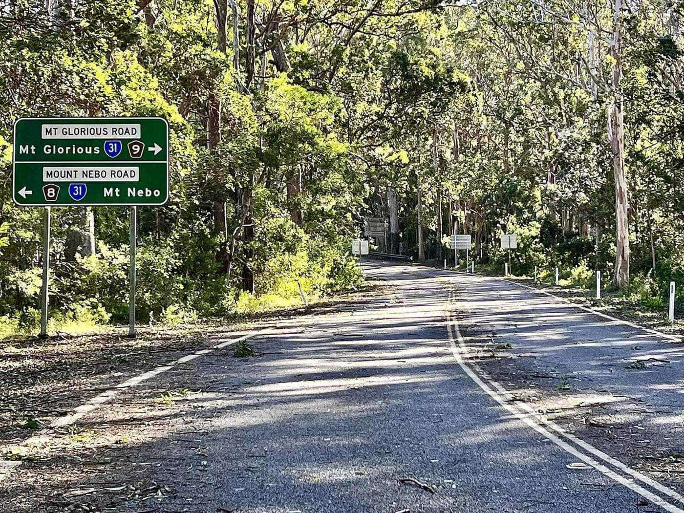 A narrow sealed road curving through tall eucalypt forest on Mount Glorious Road
