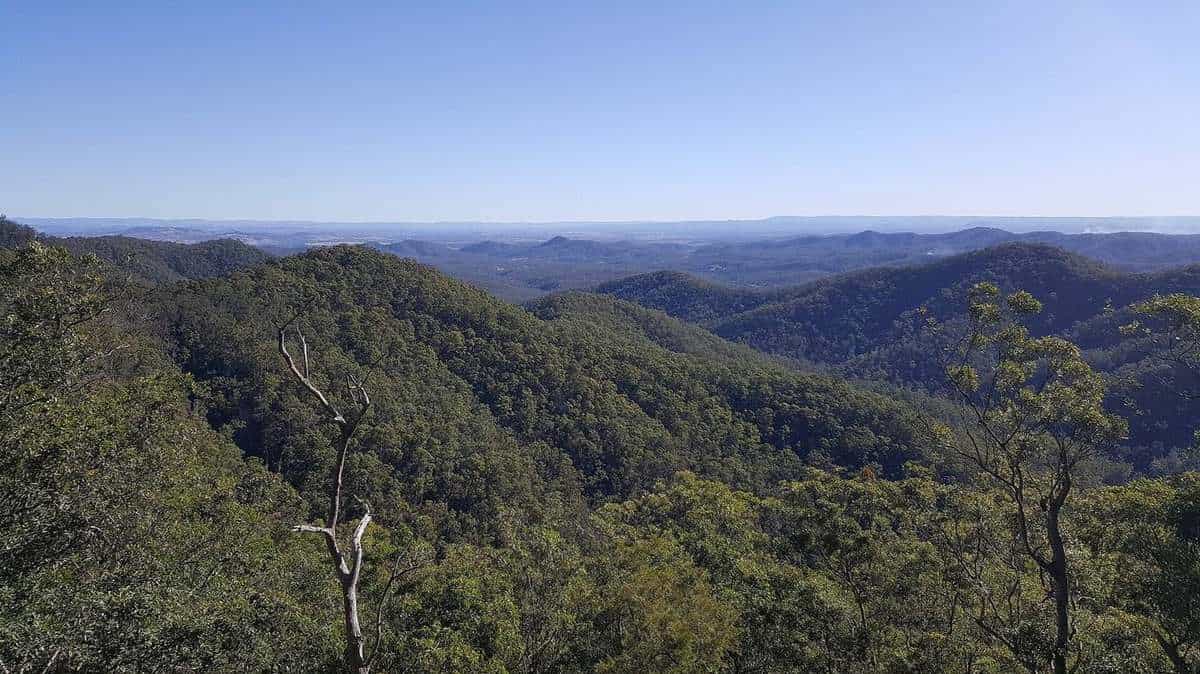 Forested ridges fading into blue haze under a wide sky, seen from Westridge Outlook in D'Aguilar National Park