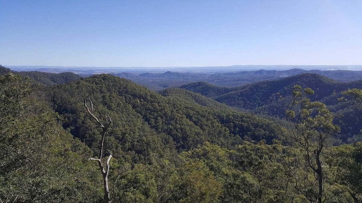 Wide view over forested ridges and distant plains from a rocky lookout